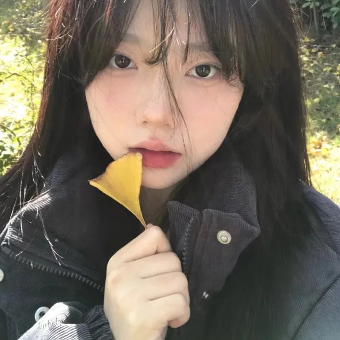 诺姆·麦克唐纳:毫无特别